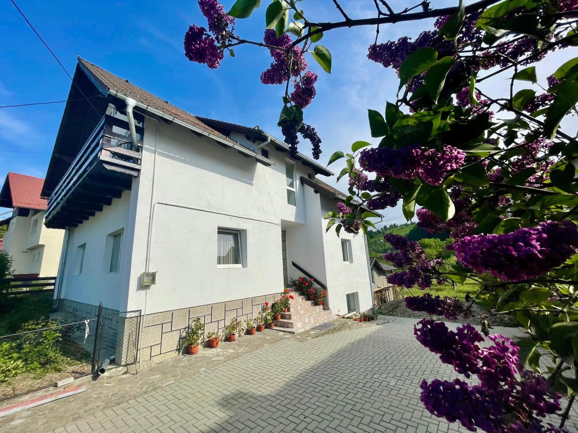Casuta Cu Dumbrava Apartment Bran  Ngoại thất bức ảnh
